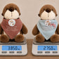 Peluche souvenir