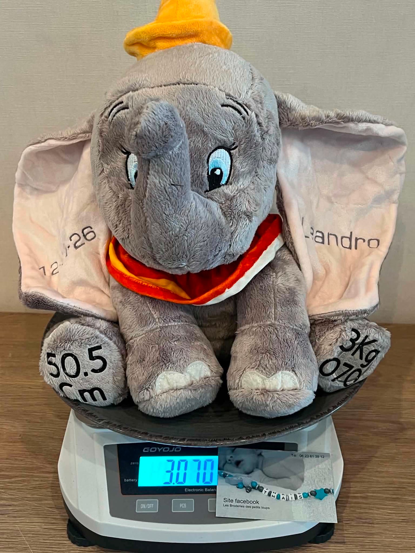 Peluche souvenir